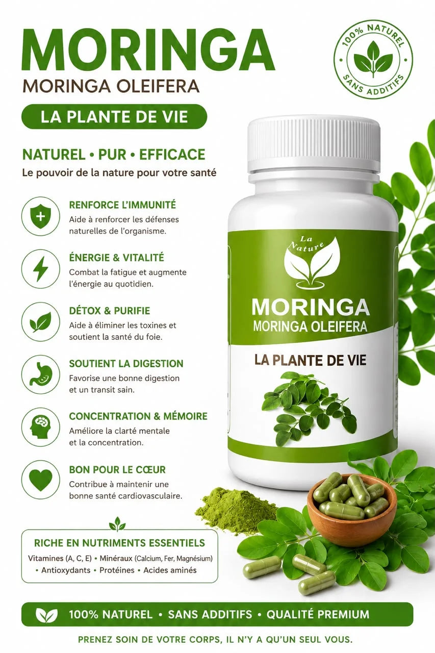 مورينغا  MORINGA🌿